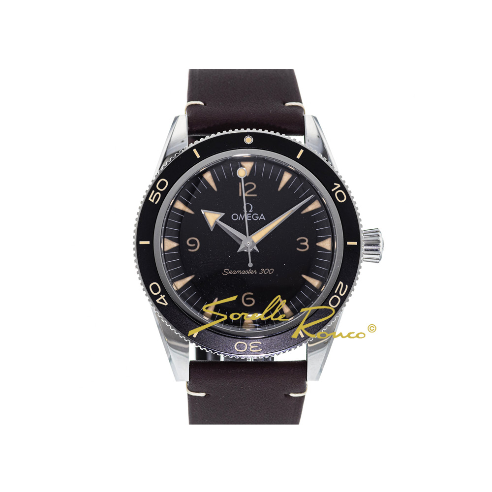 Seamaster 300 Co-Axial Master Chronometer 41mm Pelle